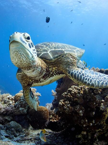 太金國際旅行社的旅遊行程介紹圖片