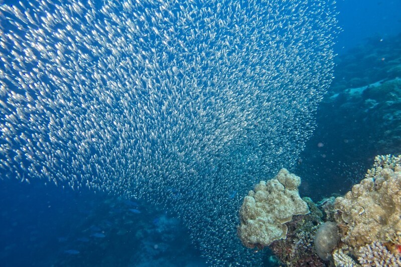 太金國際旅行社的旅遊行程介紹 太金國際旅行社的旅遊行程介紹圖片