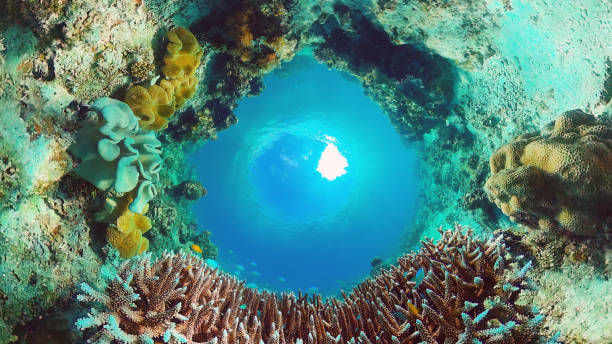 太金國際旅行社的旅遊行程介紹 太金國際旅行社的旅遊行程介紹圖片