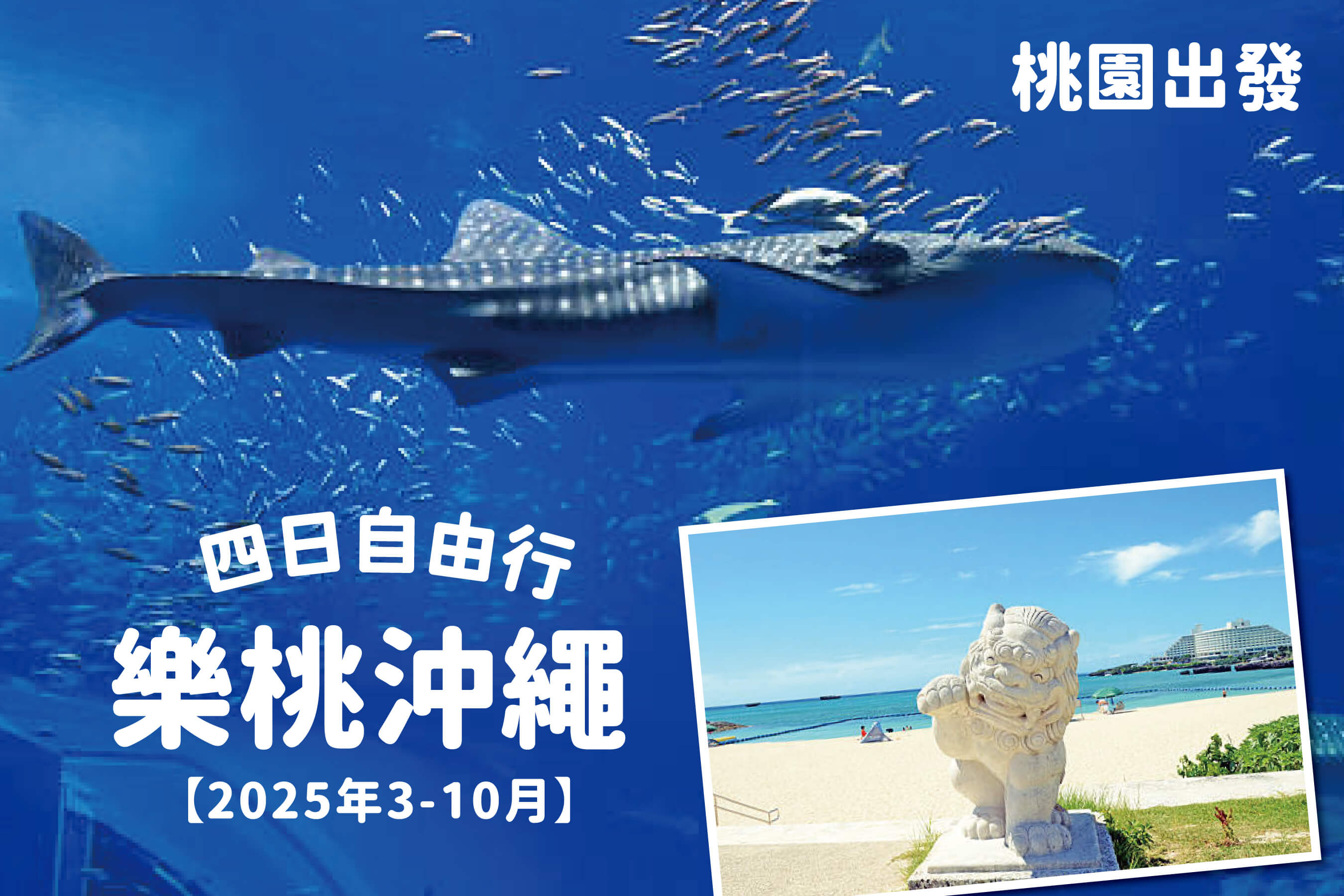 太金國際旅行社的旅遊行程介紹 太金國際旅行社的旅遊行程介紹圖片