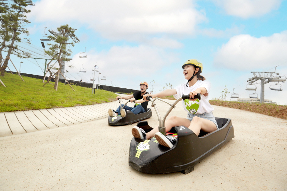 太金國際旅行社的旅遊行程介紹圖片