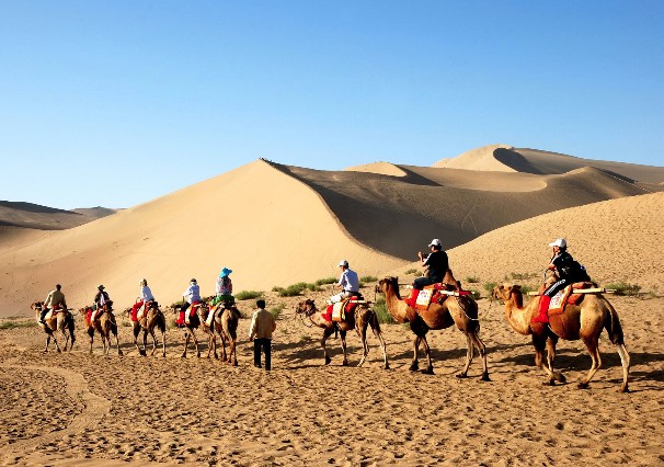 太金國際旅行社的旅遊行程介紹圖片