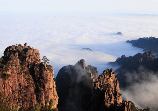 太金國際旅行社的旅遊行程介紹圖片