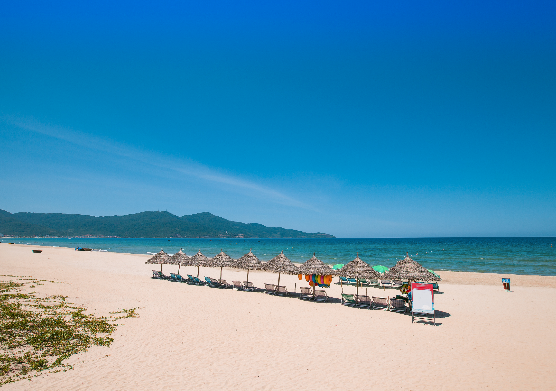 太金國際旅行社的旅遊行程介紹圖片