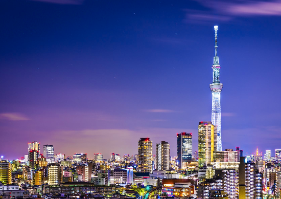 太金國際旅行社的旅遊行程介紹圖片