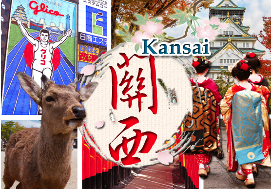 太金國際旅行社的旅遊行程介紹圖片