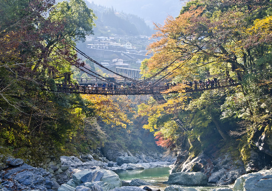 太金國際旅行社的旅遊行程介紹圖片