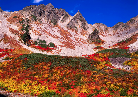 太金國際旅行社的旅遊行程介紹圖片
