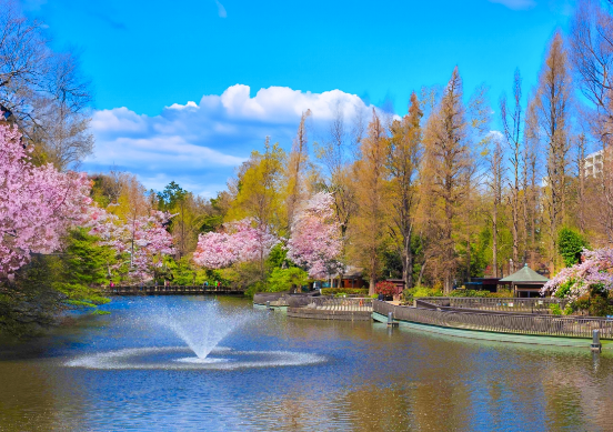太金國際旅行社的旅遊行程介紹圖片