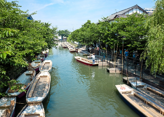 太金國際旅行社的旅遊行程介紹圖片