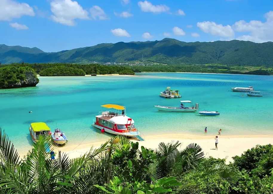 太金國際旅行社的旅遊行程介紹 太金國際旅行社的旅遊行程介紹圖片