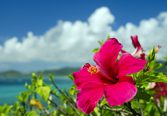 太金國際旅行社的旅遊行程介紹圖片