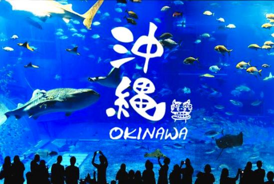 太金國際旅行社的旅遊行程介紹圖片