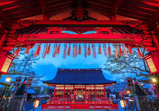 太金國際旅行社的旅遊行程介紹圖片