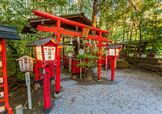 太金國際旅行社的旅遊行程介紹圖片