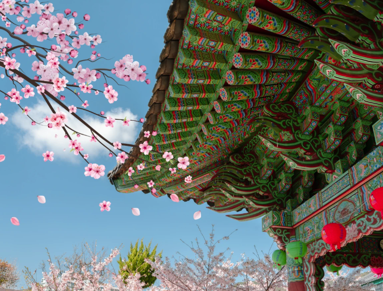 太金國際旅行社的旅遊行程介紹圖片