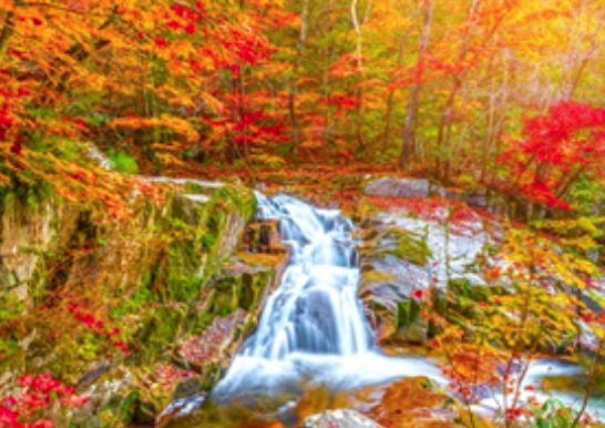 太金國際旅行社的旅遊行程介紹圖片