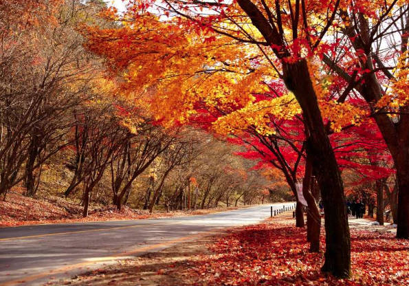 太金國際旅行社的旅遊行程介紹圖片