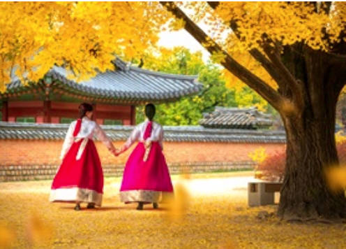 太金國際旅行社的旅遊行程介紹圖片