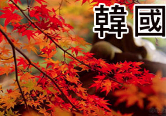 太金國際旅行社的旅遊行程介紹圖片