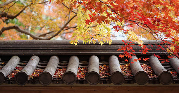 太金國際旅行社的旅遊行程介紹圖片