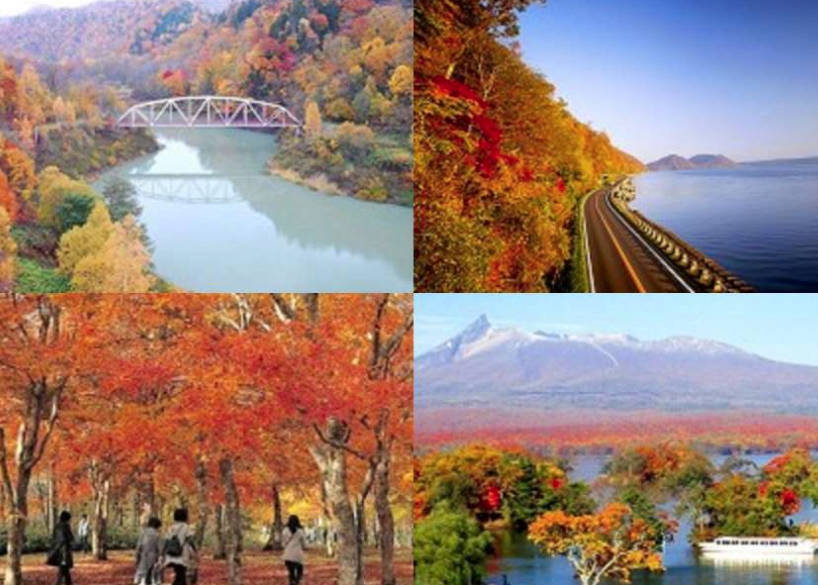 太金國際旅行社的旅遊行程介紹圖片