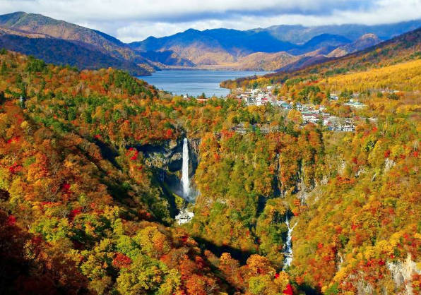 太金國際旅行社的旅遊行程介紹圖片