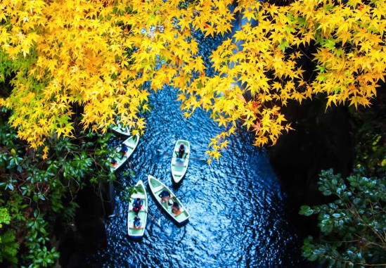 太金國際旅行社的旅遊行程介紹圖片