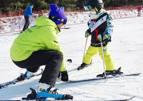 太金國際旅行社的旅遊行程介紹圖片