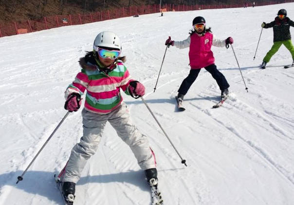 太金國際旅行社的旅遊行程介紹圖片