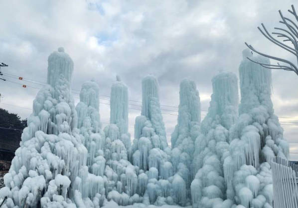 太金國際旅行社的旅遊行程介紹圖片