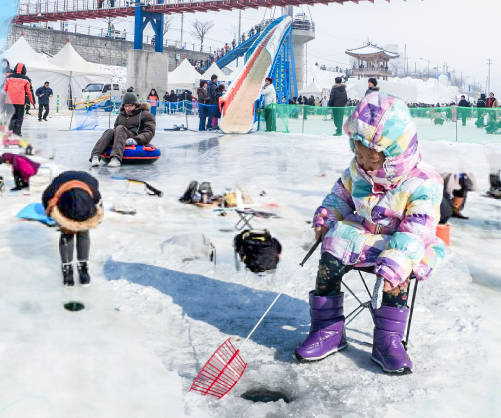 太金國際旅行社的旅遊行程介紹圖片