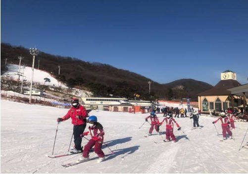 太金國際旅行社的旅遊行程介紹圖片