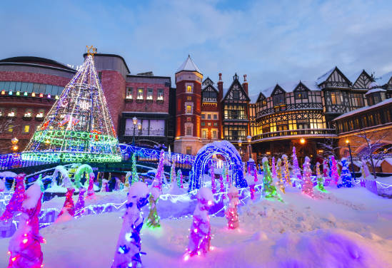 太金國際旅行社的旅遊行程介紹圖片