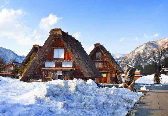 太金國際旅行社的旅遊行程介紹圖片