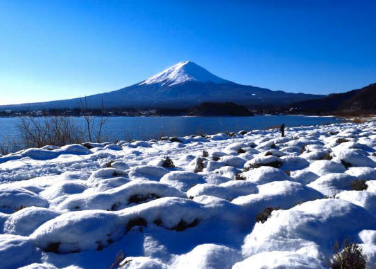 太金國際旅行社的旅遊行程介紹圖片