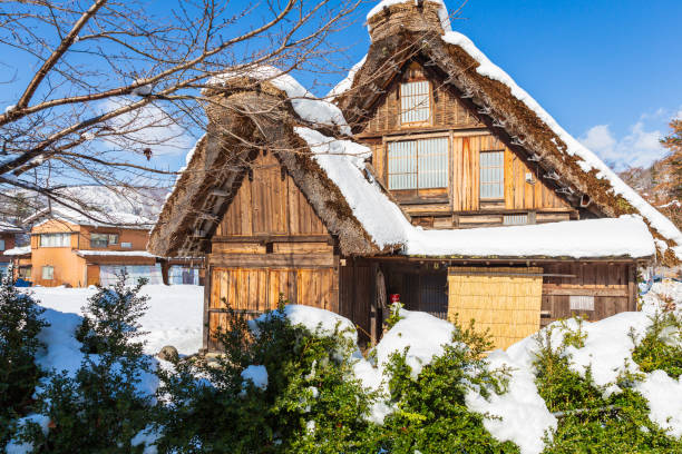 太金國際旅行社的旅遊行程介紹圖片