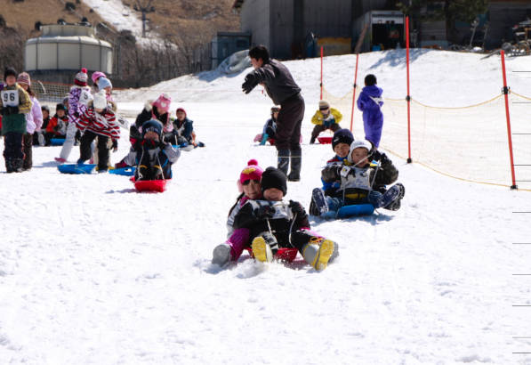 太金國際旅行社的旅遊行程介紹圖片